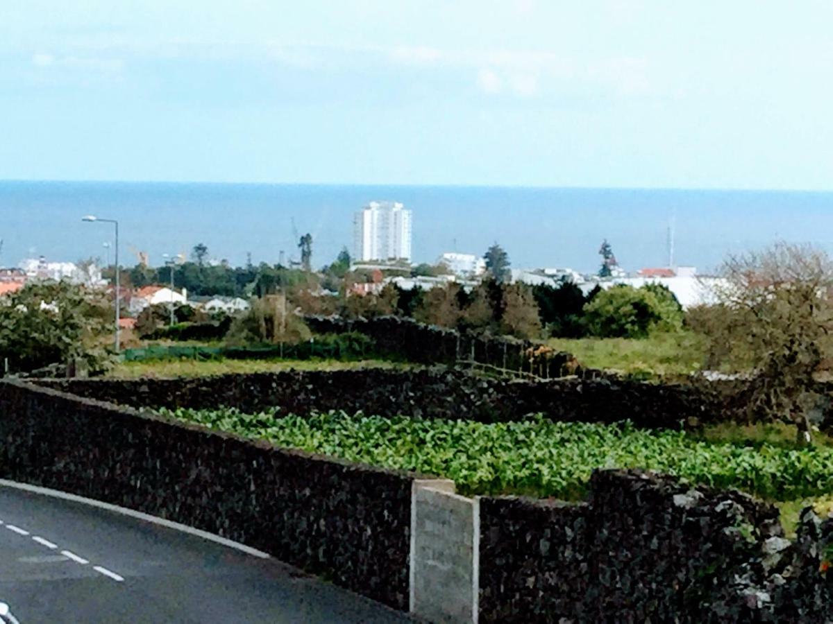 Apartmán Apartamento Do Parque Ponta Delgada Exteriér fotografie